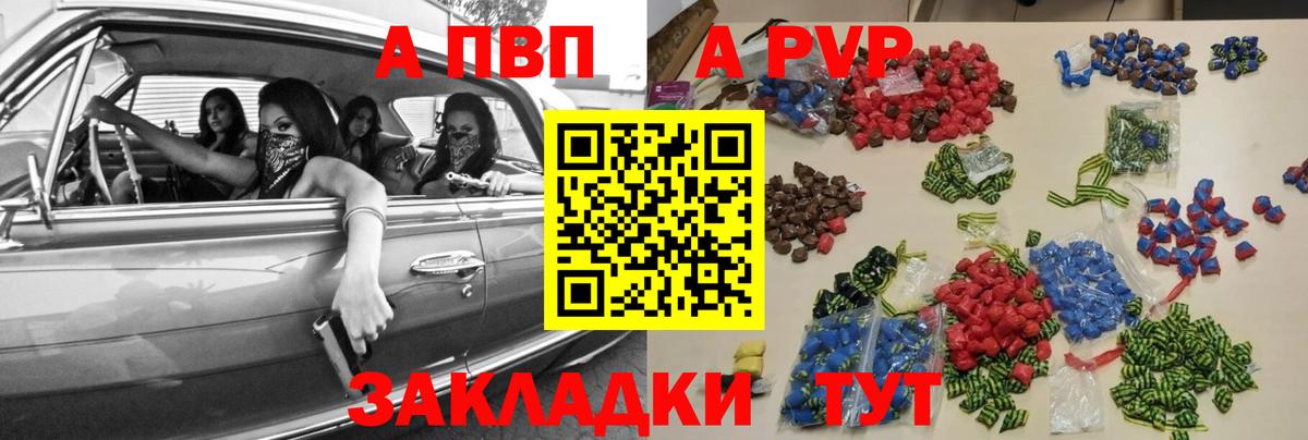 Альфа ПВП СК КРИС Луга