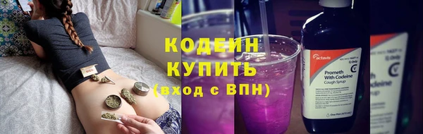 прущие крисы Кодинск