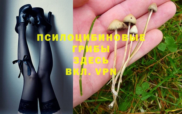 спиды Коряжма