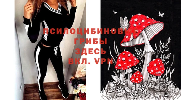 прущие крисы Кодинск
