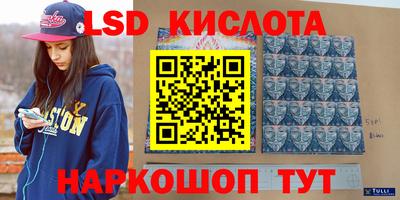 ПСИЛОЦИБИНОВЫЕ ГРИБЫ Заволжье