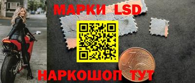 ПСИЛОЦИБИНОВЫЕ ГРИБЫ Заволжье