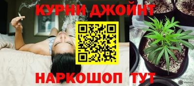 ПСИЛОЦИБИНОВЫЕ ГРИБЫ Заволжье