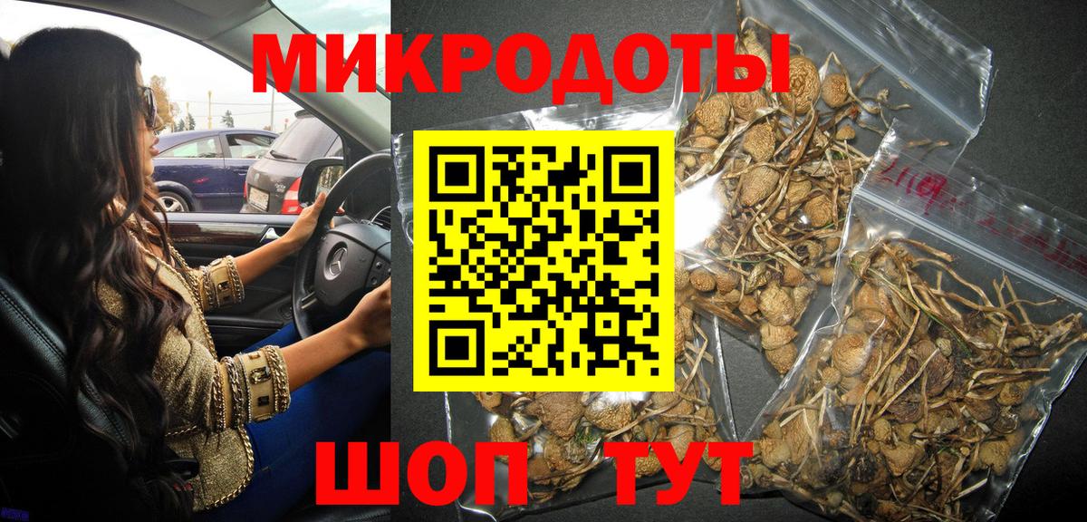 Луга  Галлюциногенные грибы Psilocybe  наркотики  Вход с VPN 